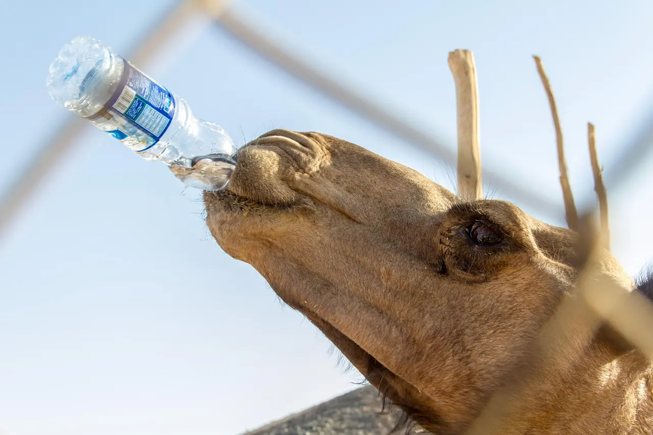 Réduire sa consommation de plastique ?
